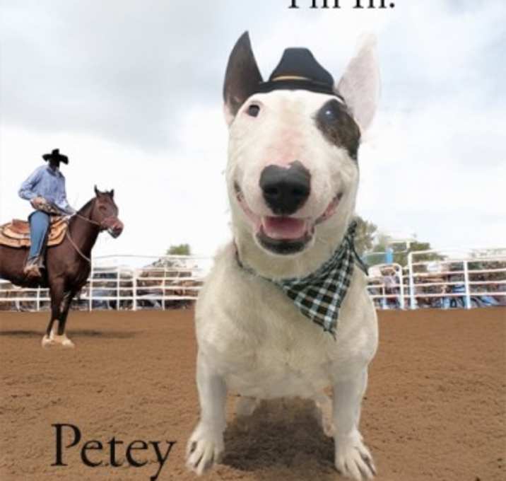Photo of Petey