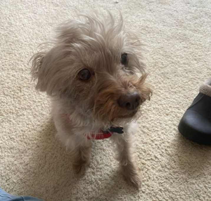 Photo of Ally