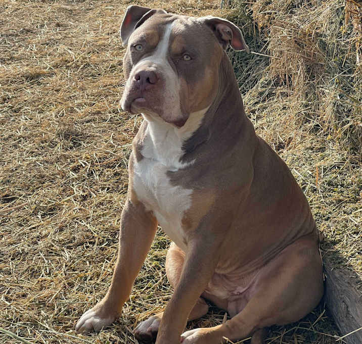 Photo of Remi