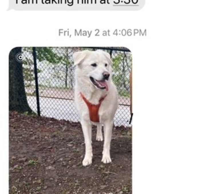 Photo of Yuki