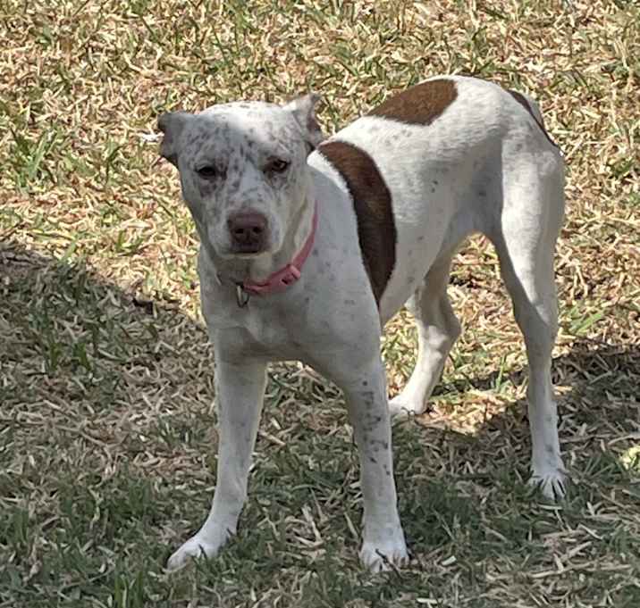Photo of Lil Girl