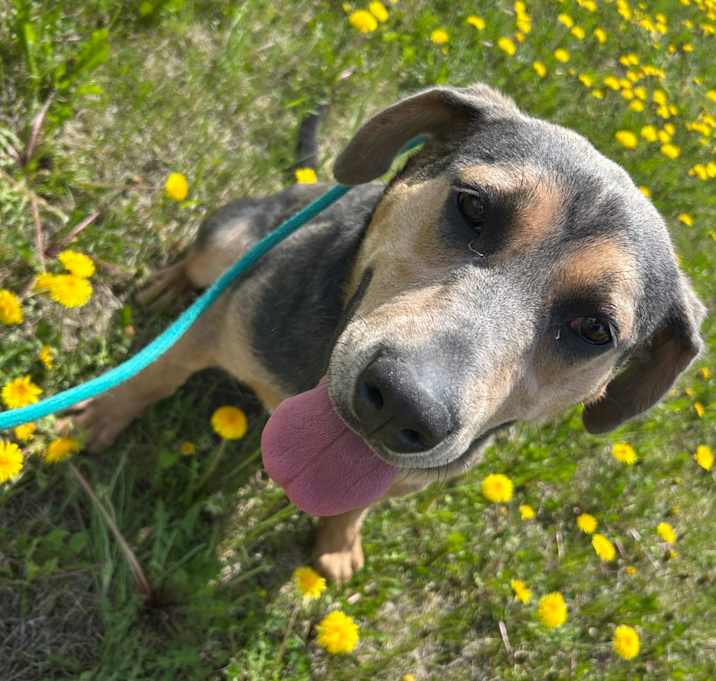 Photo of Delilah