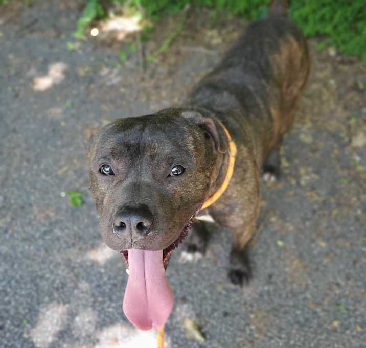 Photo of Baron