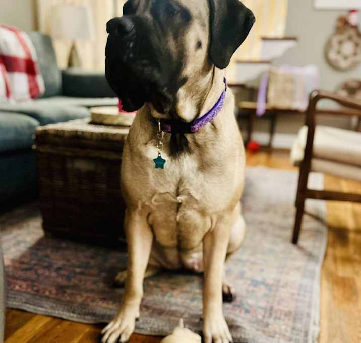 Photo of Lucy