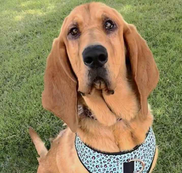 Photo of Daisy Mae