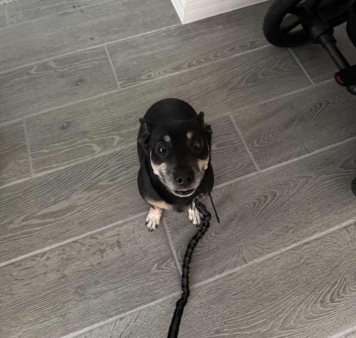 Photo of Kylo Ren