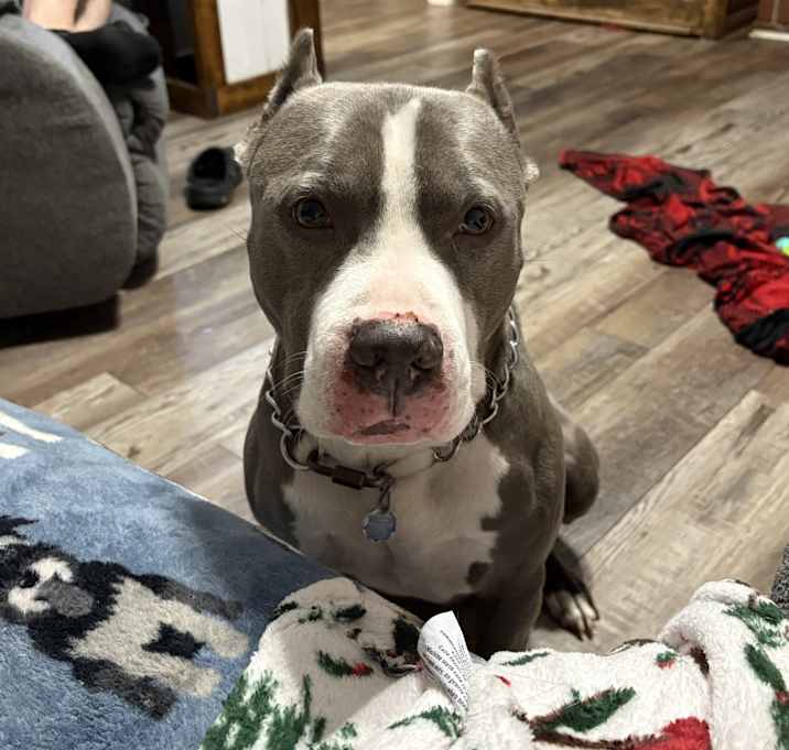 Photo of Diesel