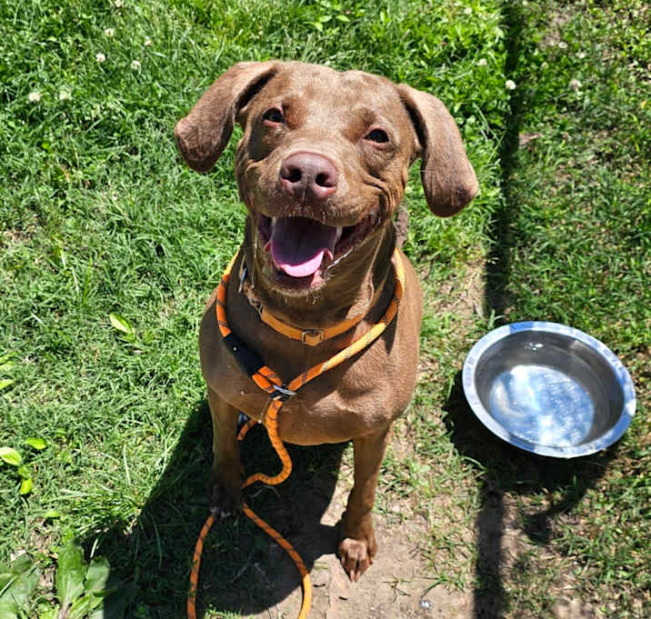 Photo of Pearl
