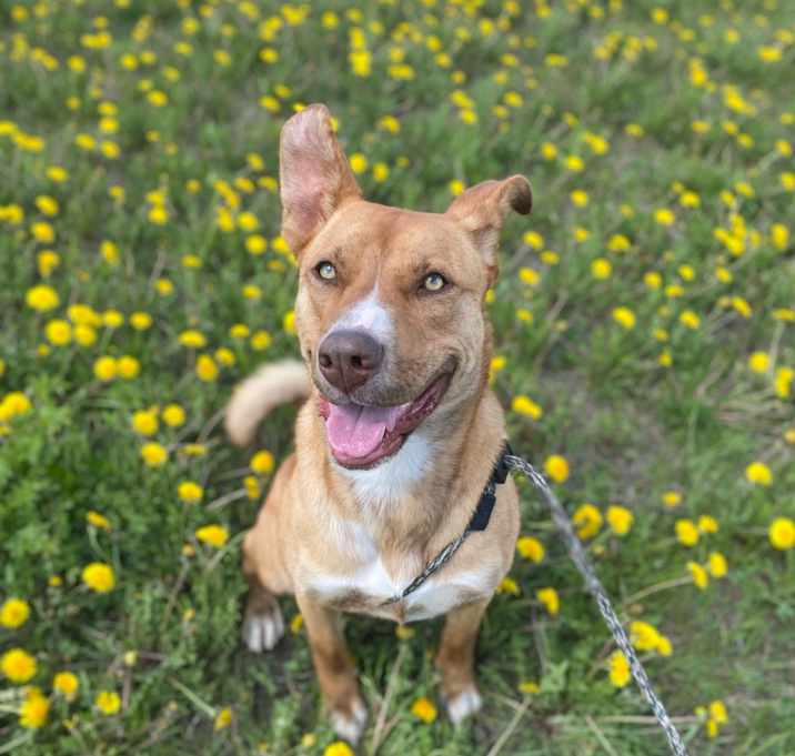 Photo of Hazel
