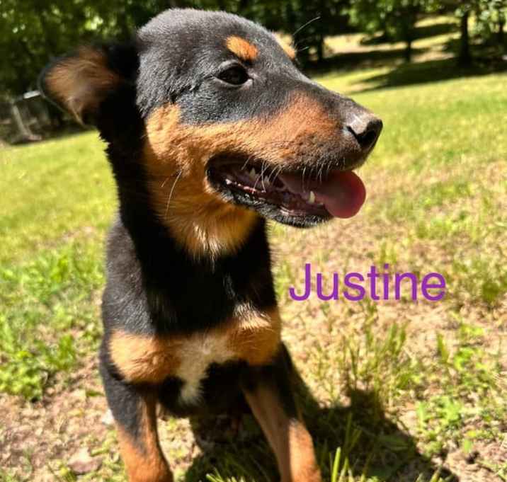 Photo of Justine