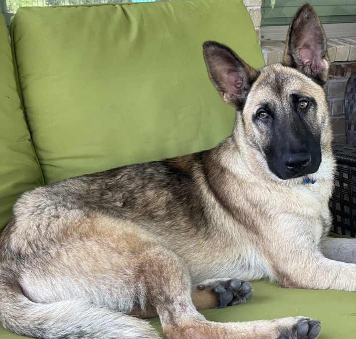 Photo of Duke