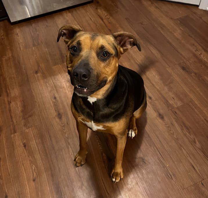Photo of Max