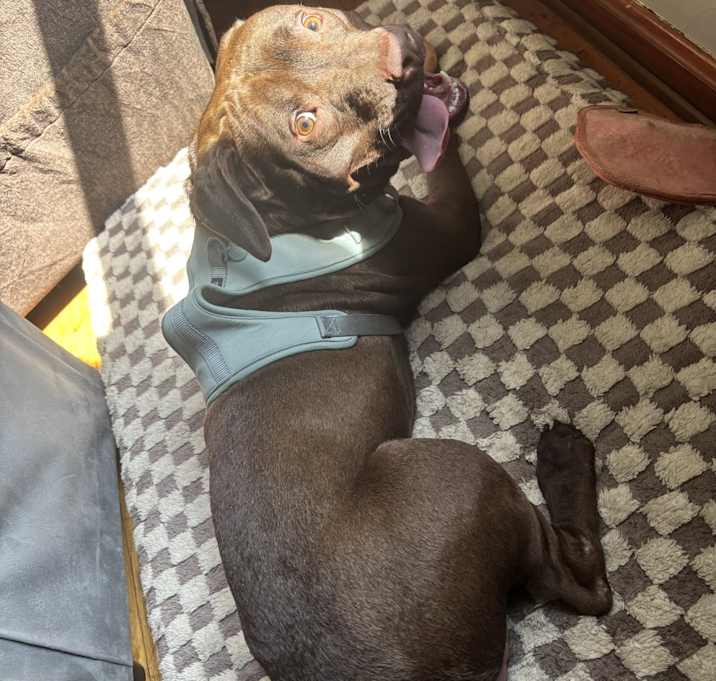 Photo of Leroy