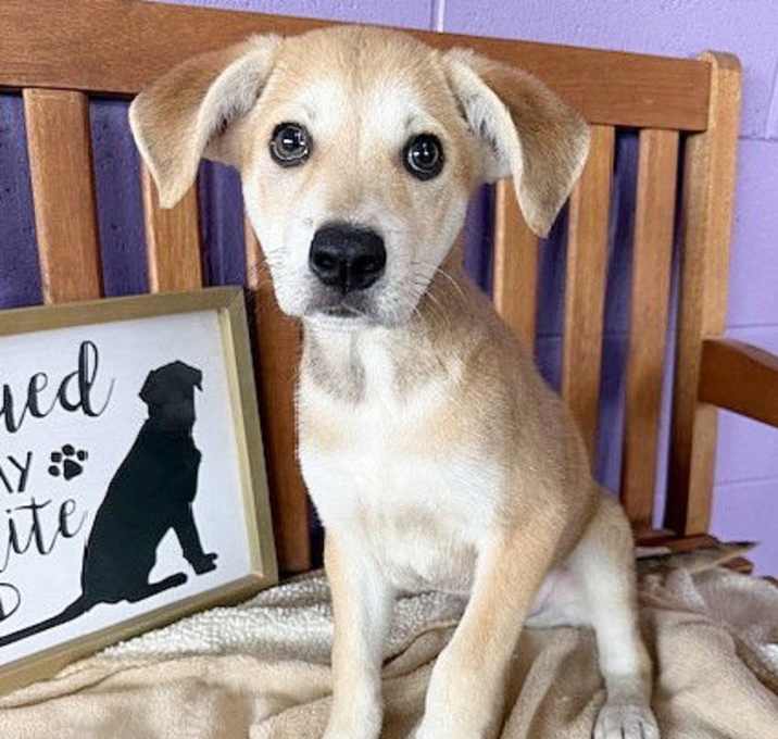 Photo of **SPUD**