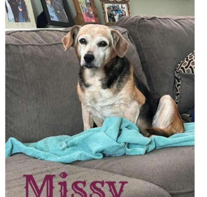 Photo of Missy Hall Talbot