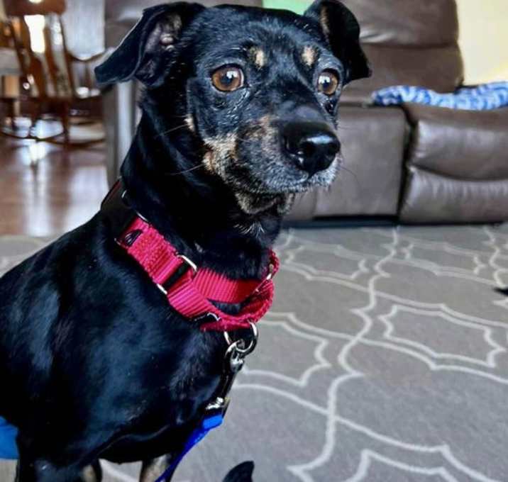 Photo of Bentley