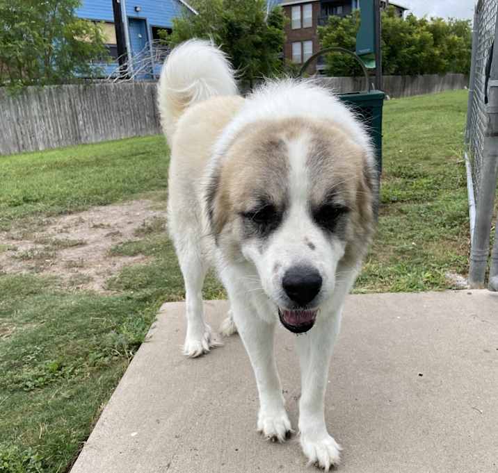 Photo of Hercules