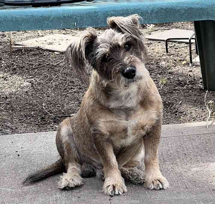 Photo of Loco
