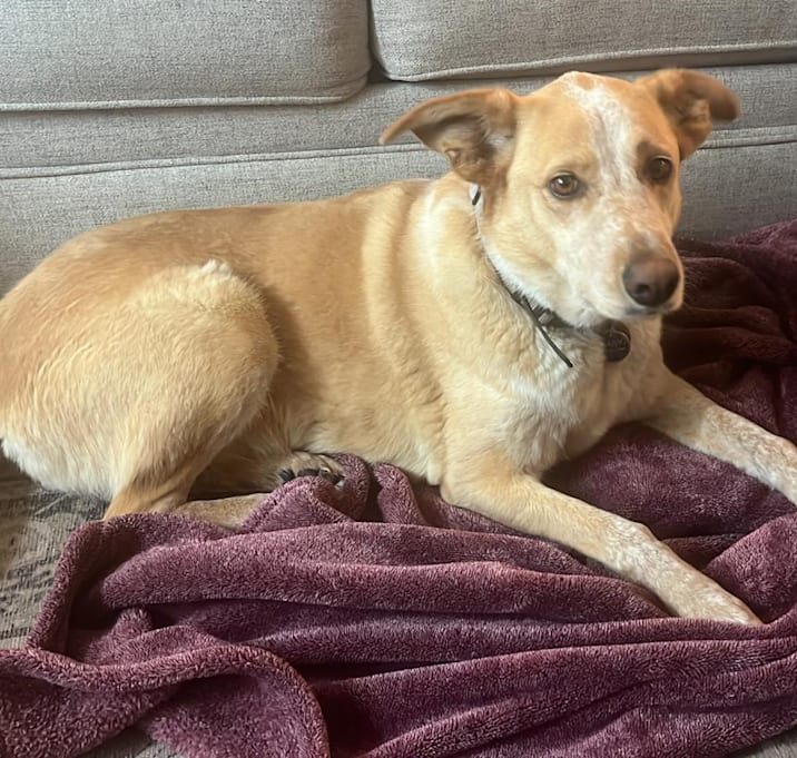 Photo of Daisy