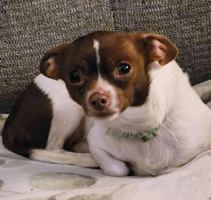 Photo of Manny
