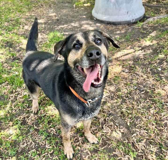 Photo of Coco