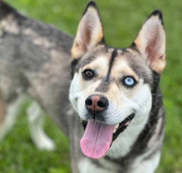 Photo of Lucy
