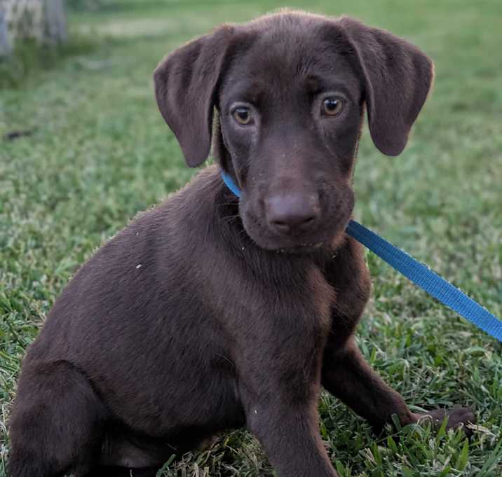 Photo of Sailor
