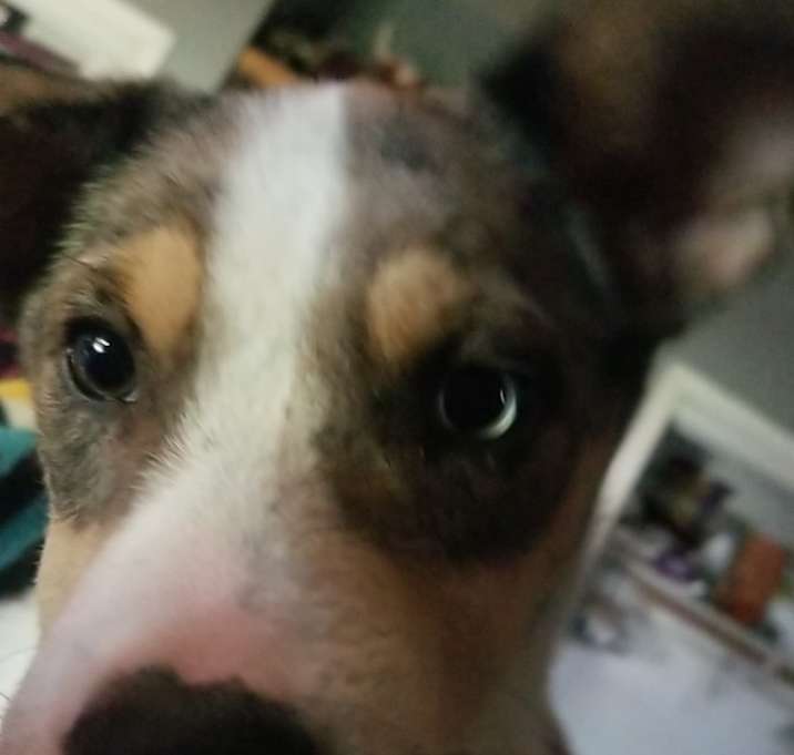 Photo of Aspen