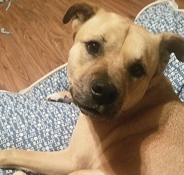 Photo of Penelope