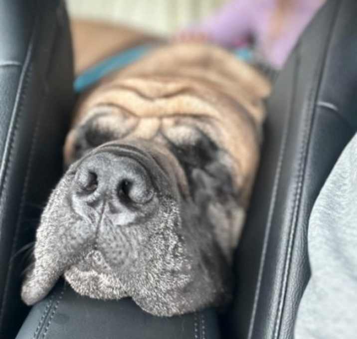 Photo of Hades