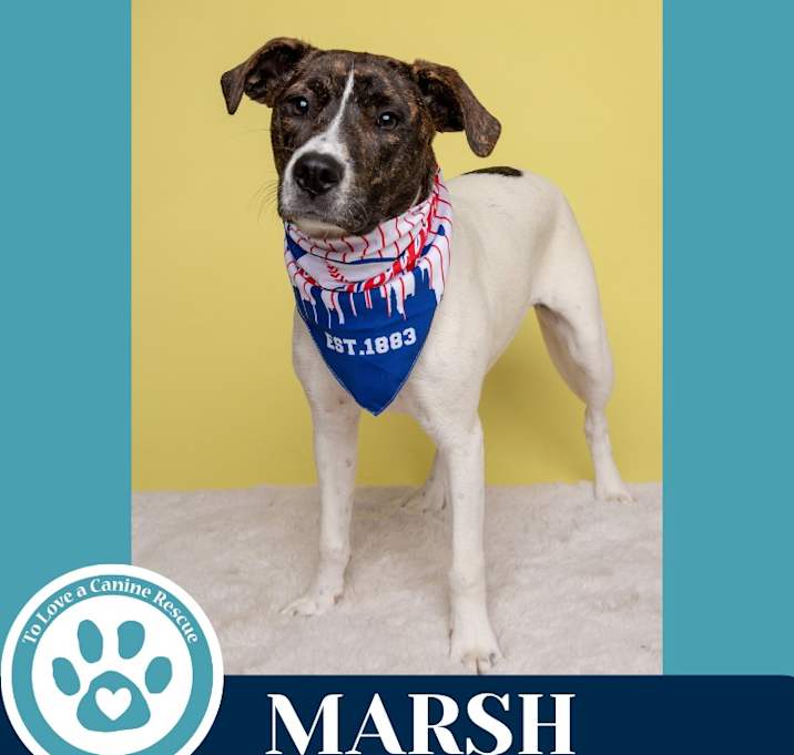 Photo of Marsh (Philly Fanatics) 052425