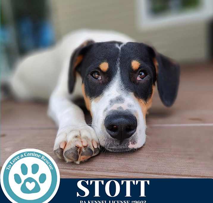 Photo of Stott (Philly Fanatics) 052425
