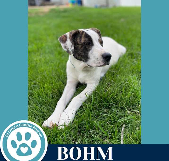 Photo of Bohm (Philly Fanatics) 052425