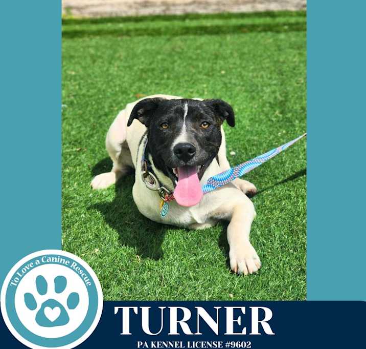 Photo of Turner (Philly Fanatics) 052425
