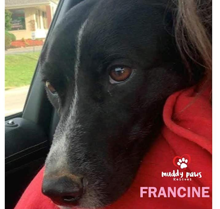 Photo of Francine
