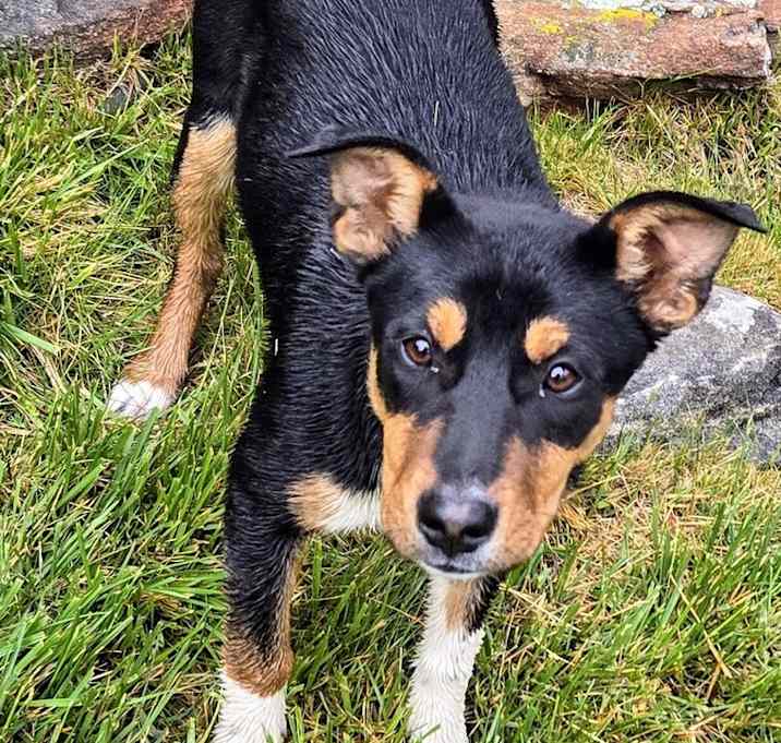 Photo of Dakota