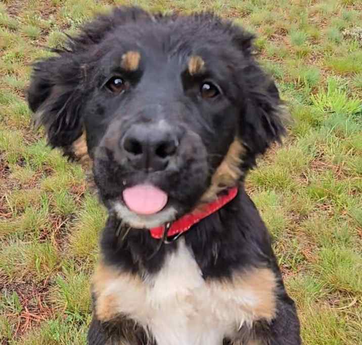 Photo of Kai