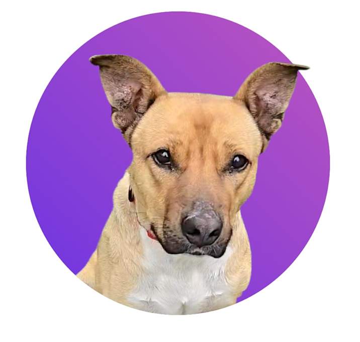 Photo of Tala