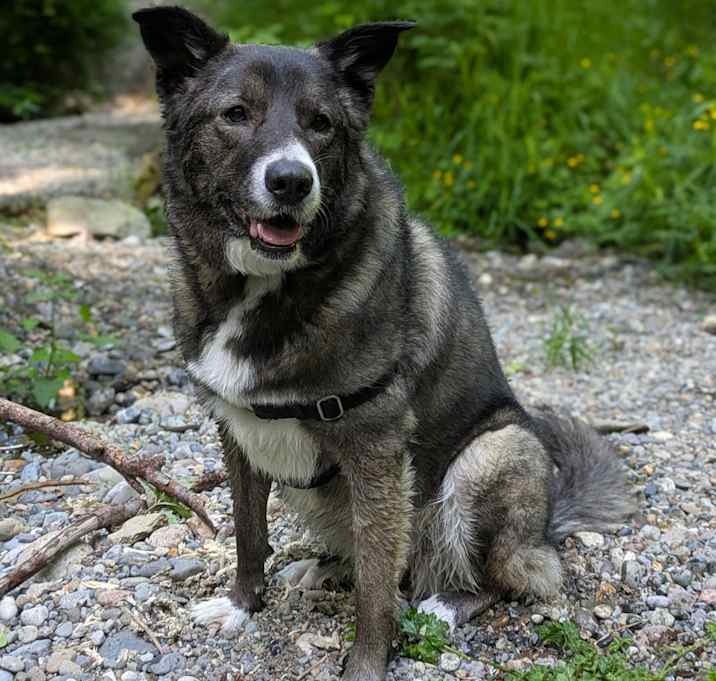 Photo of Naili