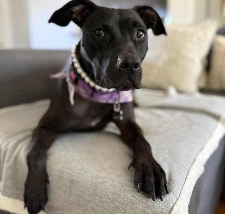 Photo of Lia