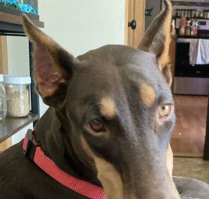 Photo of Lettie