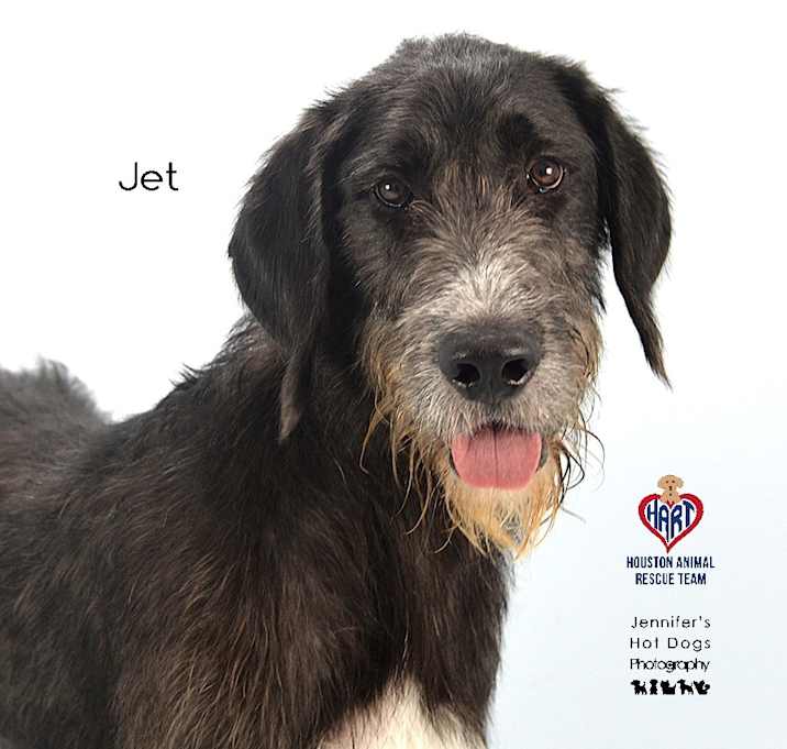 Photo of Jet