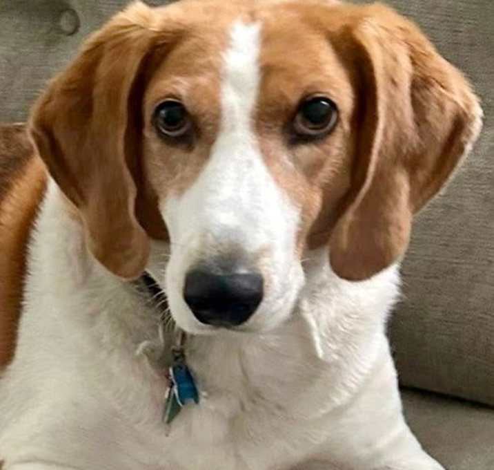 Photo of Sadie