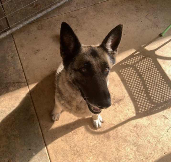 Photo of Angel