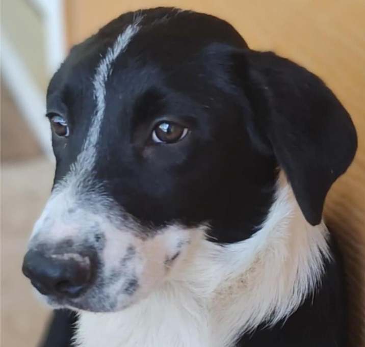 Photo of Sterling