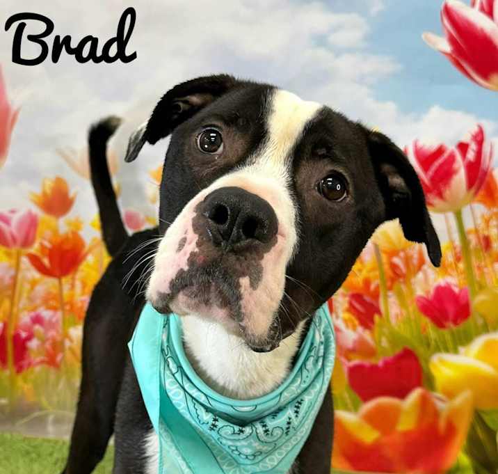 Photo of Brad