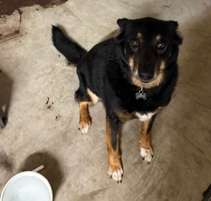 Photo of Astro