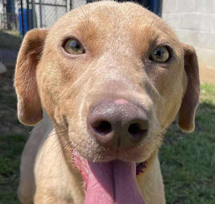 Photo of WANDA/URGENT