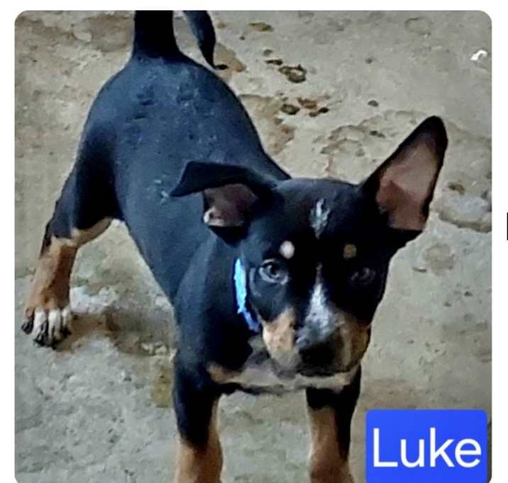 Photo of Luke