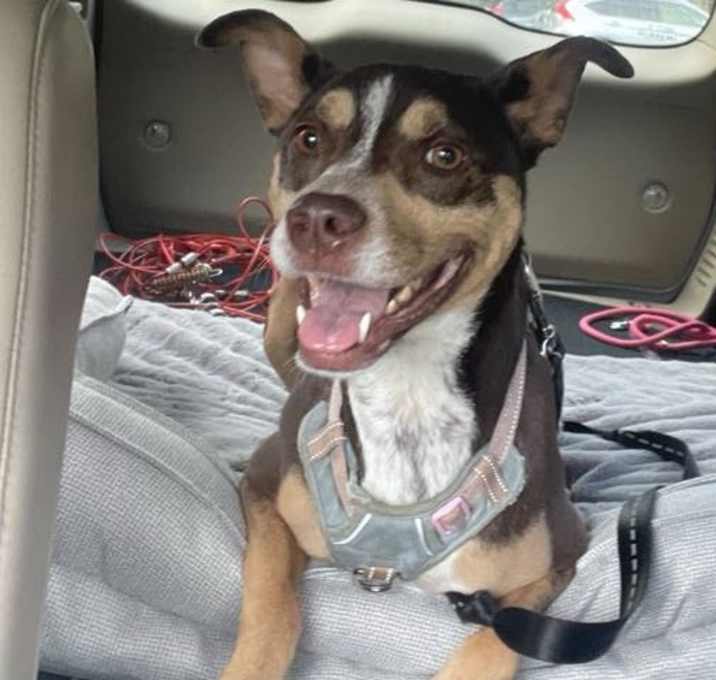 Photo of SPROUT